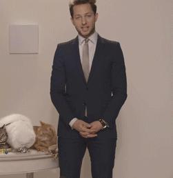 趣说猫历史|原来所有猫咪中性格最好的是你呀！