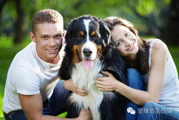 接触猫狗粪便会传染狂犬病吗,猫狗只有发病才会传染吗