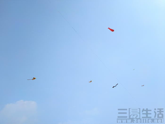 vivoxplay5体验,vivoxplay5标准版和旗舰版