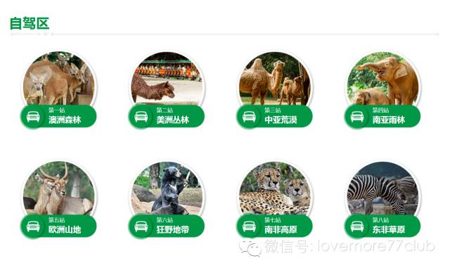 广州旅游攻略长隆野生动物园,广州长隆野生动物园自由行攻略