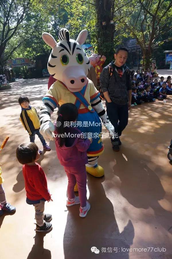 广州旅游攻略长隆野生动物园,广州长隆野生动物园自由行攻略