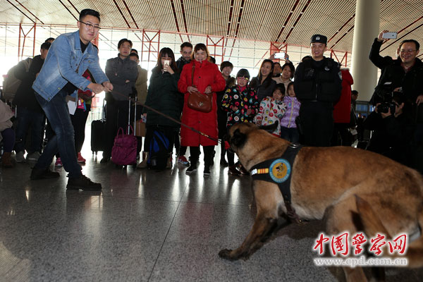 骞冲畨瀹堟姢110,瀹堟姢骞冲畨绁堟眰骞冲畨