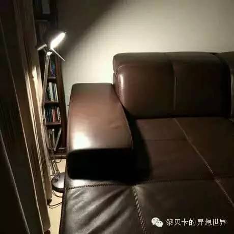 提升生活幸福感的十件小物,提升生活幸福感的小物件分享