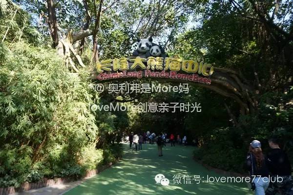 广州旅游攻略长隆野生动物园,广州长隆野生动物园自由行攻略