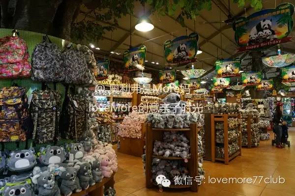 广州旅游攻略长隆野生动物园,广州长隆野生动物园自由行攻略