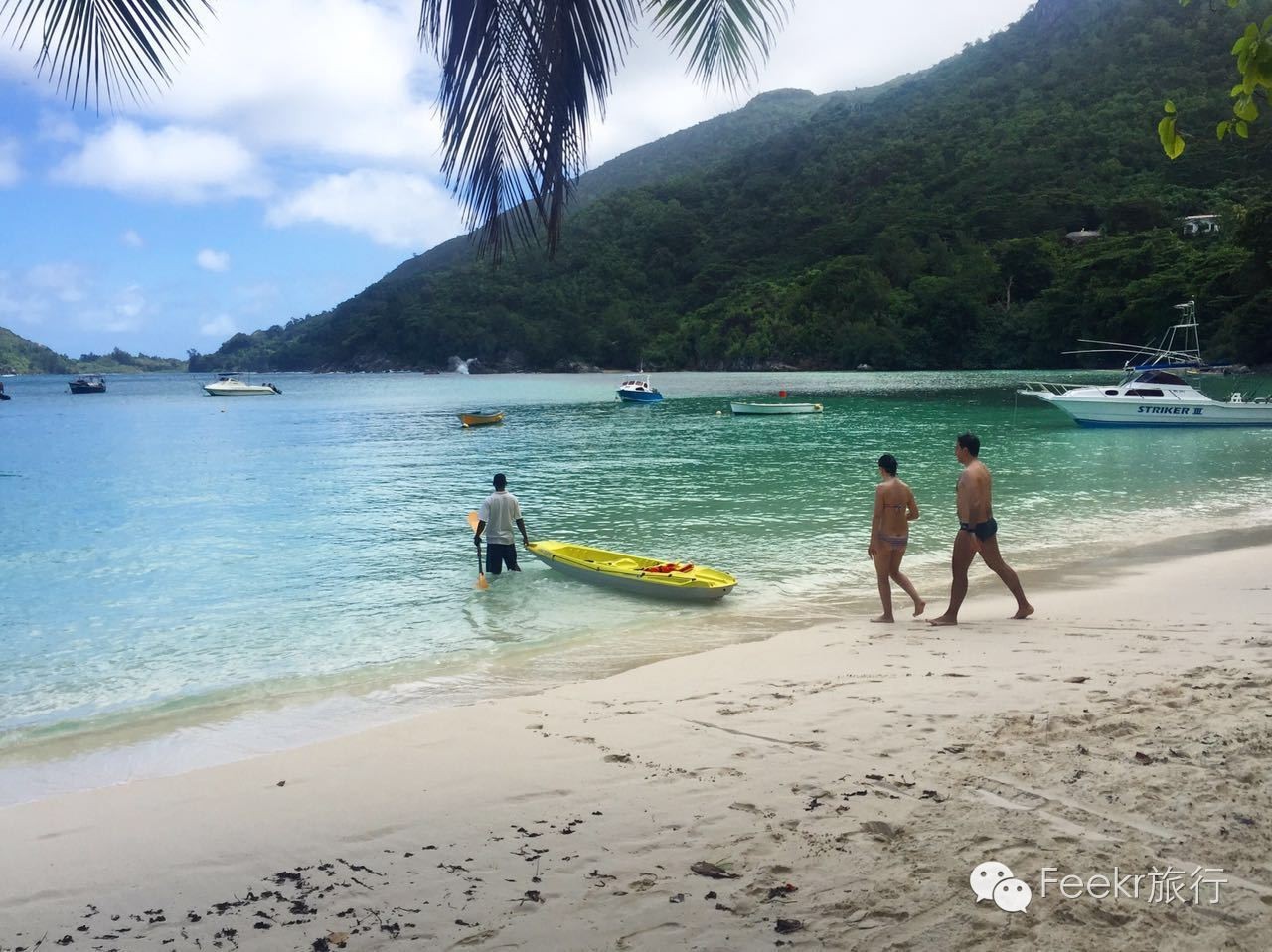 世界十大海岛最美海滩,全球最美十大海岛粉色海滩