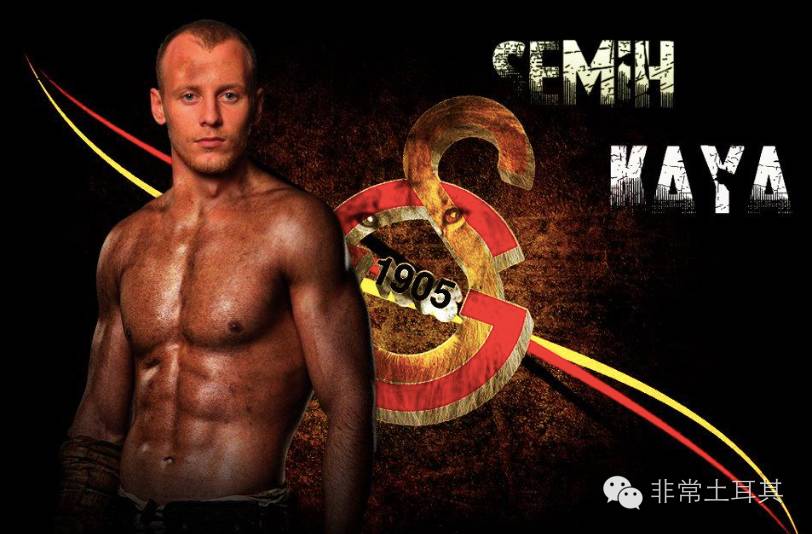 实力黑马,星月军团欧洲杯