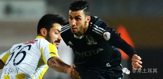 实力黑马,星月军团欧洲杯