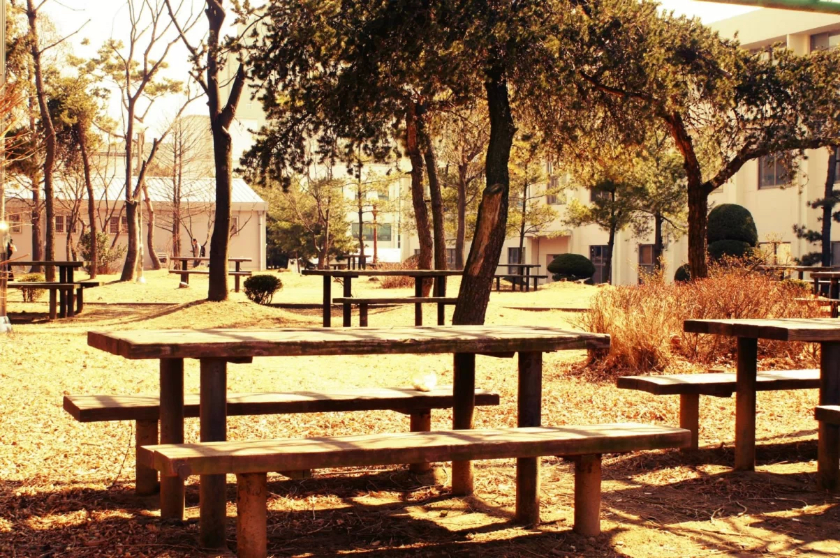 韩国社会现实,告诉你真实的韩国现状