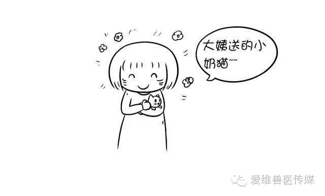 接触猫狗粪便会传染狂犬病吗,猫狗只有发病才会传染吗