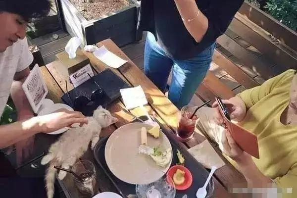 杨幂c罗,原来c罗才是最终赢家