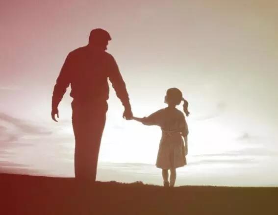 迎接父亲节：紫溪半岛的2000株紫薇花竞相绽放！限时免费欣赏