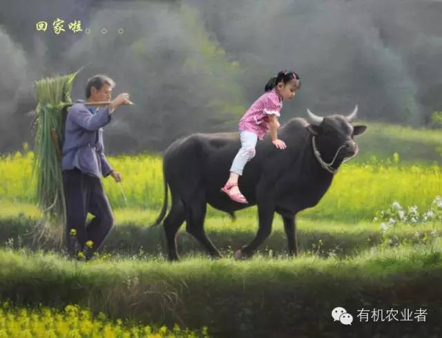 曾经结伴同行,曾经一起走过的路图片