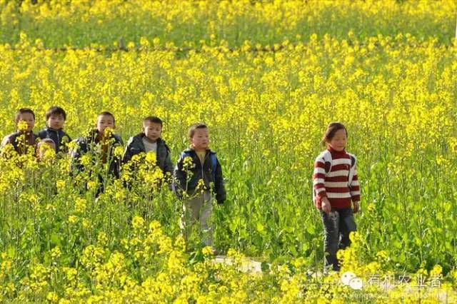 曾经结伴同行,曾经一起走过的路图片