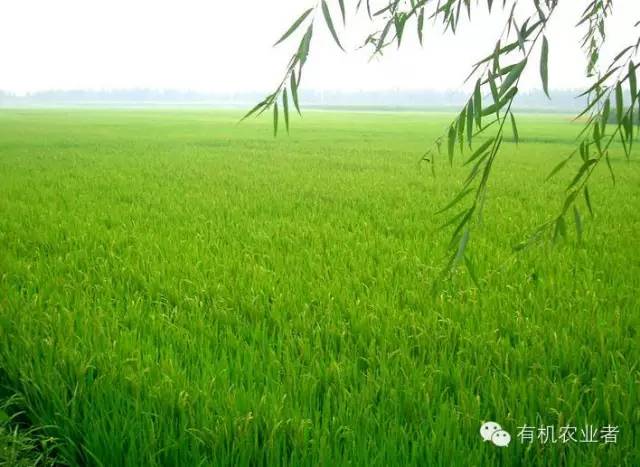 曾经结伴同行,曾经一起走过的路图片