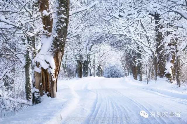 曾经结伴同行,曾经一起走过的路图片