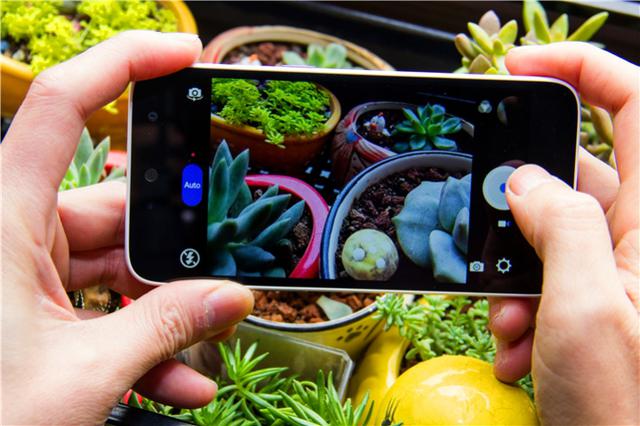 屏下指纹千元平价机,指纹千元机性价比高的手机2021