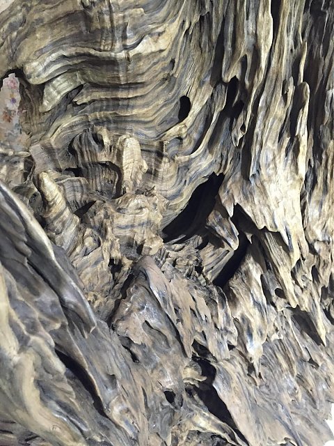 金丝楠阴沉乌木碳化多少钱,千年阴沉金丝楠