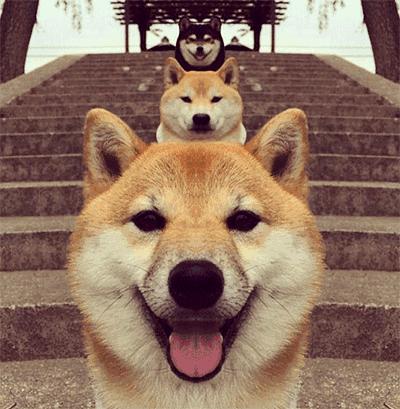 漫改游戏哪个最成功,做得好的漫改游戏