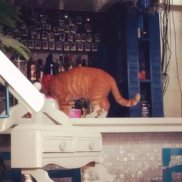 京城那些萌哒哒的地方，即使去千遍也不厌倦