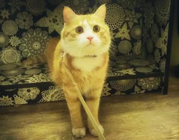 京城那些萌哒哒的地方，即使去千遍也不厌倦