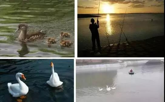 好吃又好玩，郑州5家特点农场带你过五一！