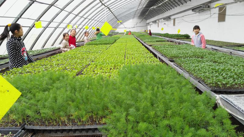 好吃又好玩，郑州5家特点农场带你过五一！