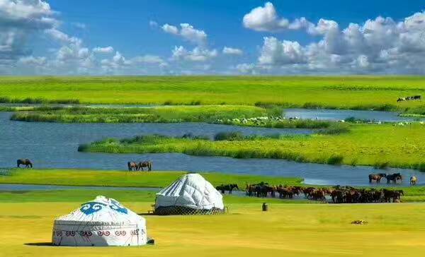 大武口呼伦贝尔风情园烤全羊团购,呼伦贝尔旅游必吃的十大特点美食