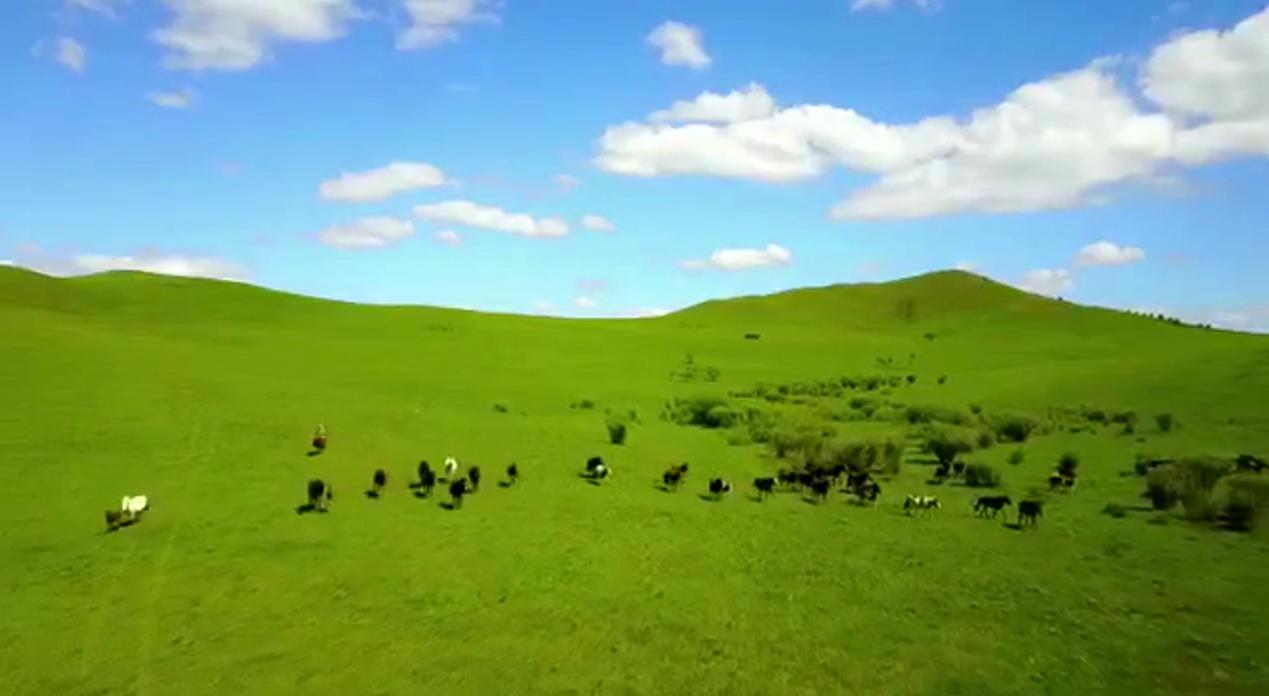 大武口呼伦贝尔风情园烤全羊团购,呼伦贝尔旅游必吃的十大特点美食