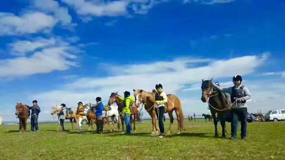 大武口呼伦贝尔风情园烤全羊团购,呼伦贝尔旅游必吃的十大特点美食