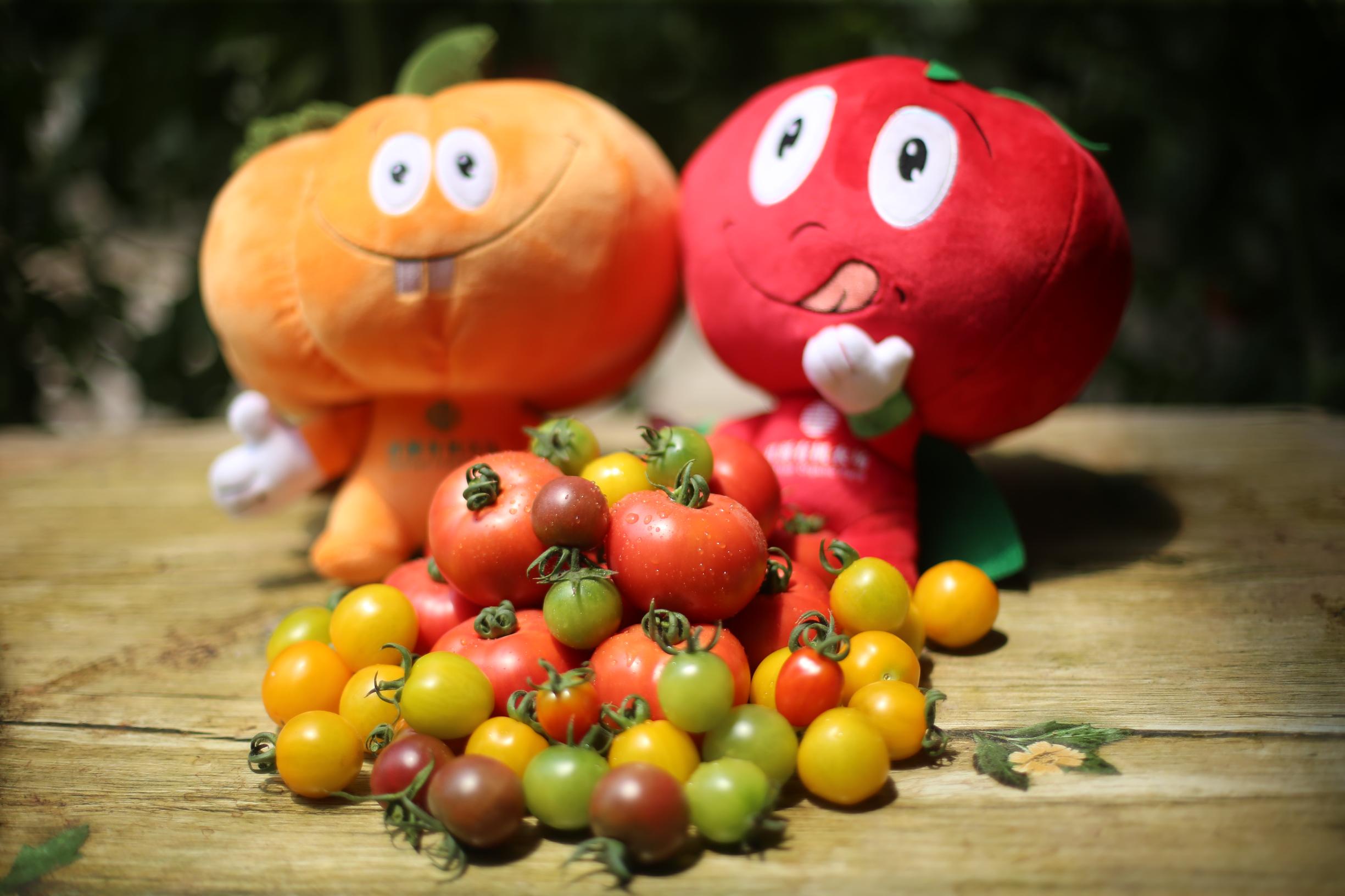 好吃又好玩，郑州5家特点农场带你过五一！