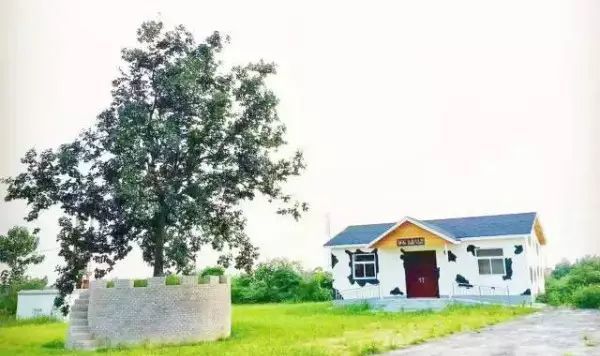 好吃又好玩，郑州5家特点农场带你过五一！