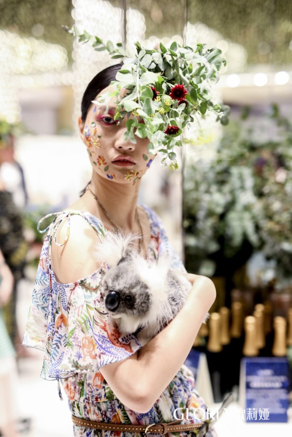 歌莉娅绿野星踪树熊乐园,歌莉娅绿野星踪是去哪里旅行