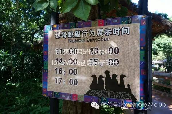 广州旅游攻略长隆野生动物园,广州长隆野生动物园自由行攻略