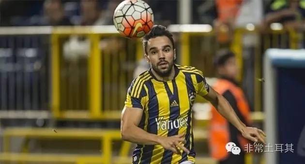 实力黑马,星月军团欧洲杯