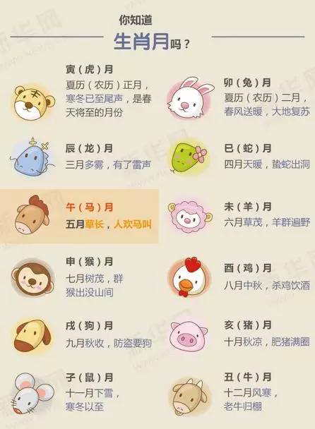 大家都在等的这个日子终于来啦！千万别错过，下次要等到2028年