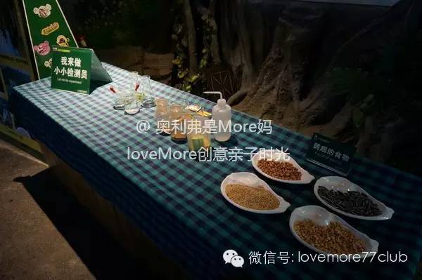 广州旅游攻略长隆野生动物园,广州长隆野生动物园自由行攻略