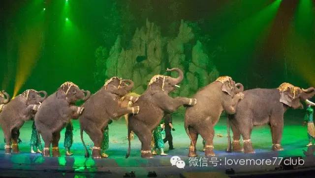 广州旅游攻略长隆野生动物园,广州长隆野生动物园自由行攻略