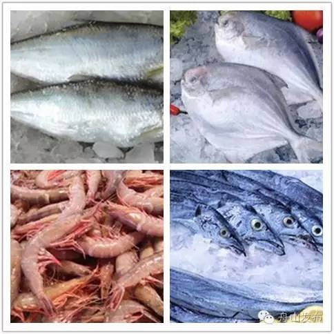 休渔期结束的海鲜市场物美价廉,休渔期海鲜市场价格表