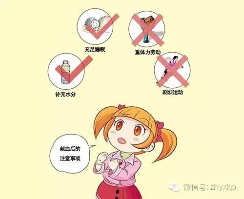 献血必读关于血液的知识点,献血科普知识大全