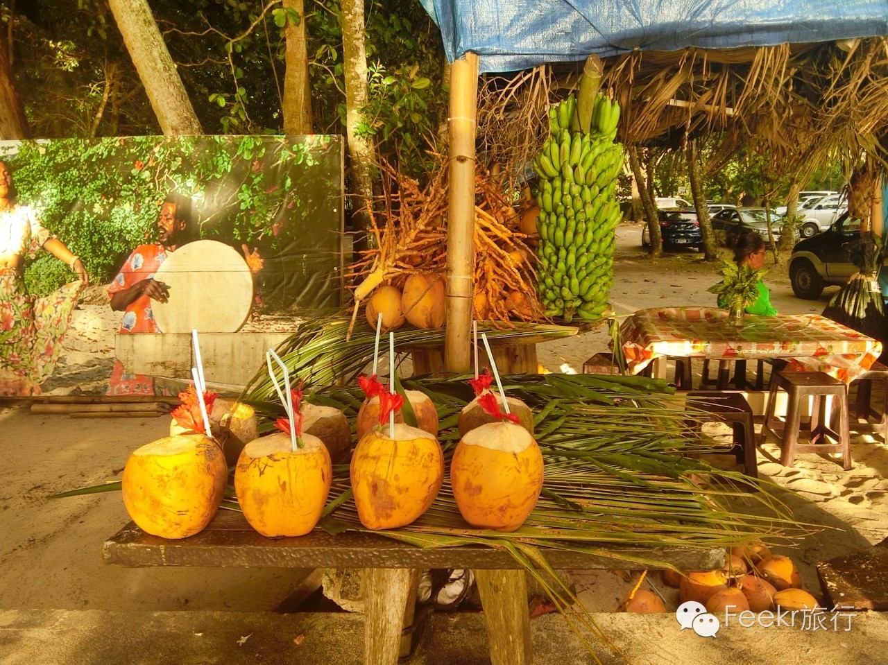 世界十大海岛最美海滩,全球最美十大海岛粉色海滩