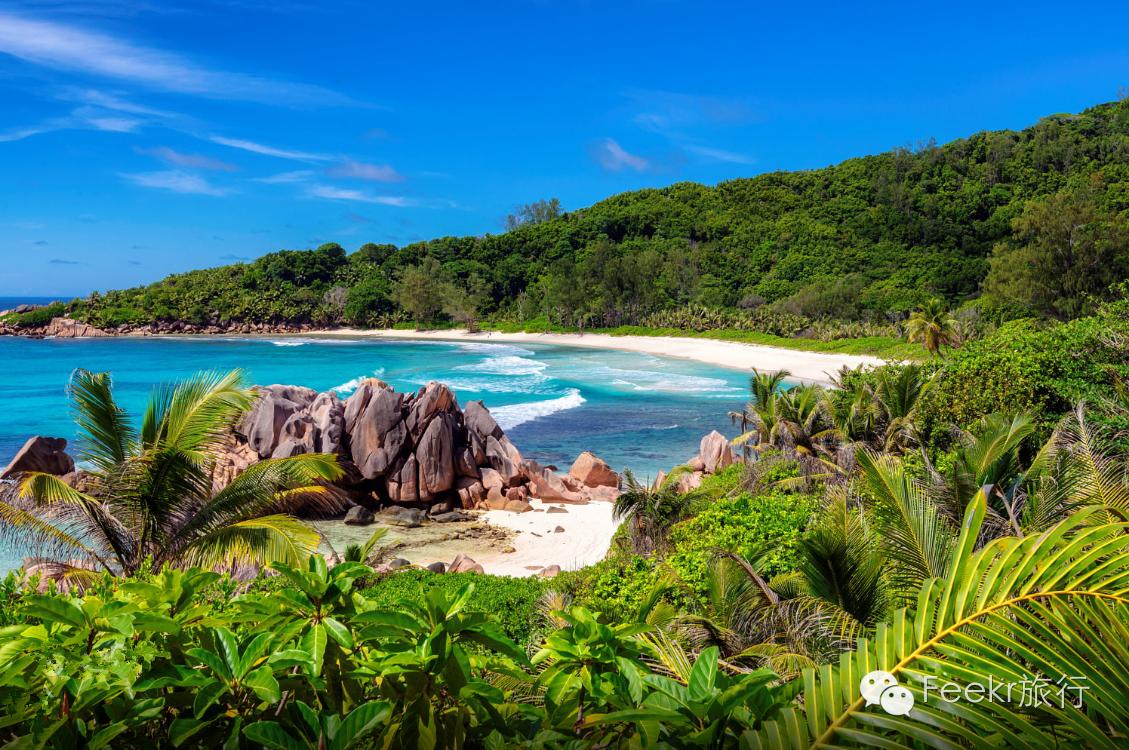 世界十大海岛最美海滩,全球最美十大海岛粉色海滩