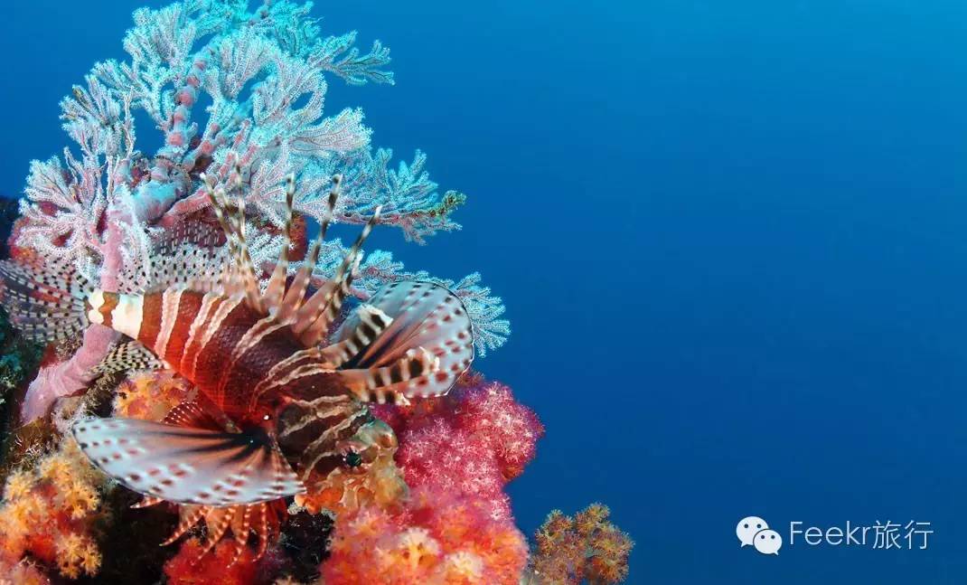 世界十大海岛最美海滩,全球最美十大海岛粉色海滩