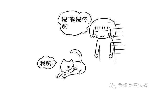 接触猫狗粪便会传染狂犬病吗,猫狗只有发病才会传染吗