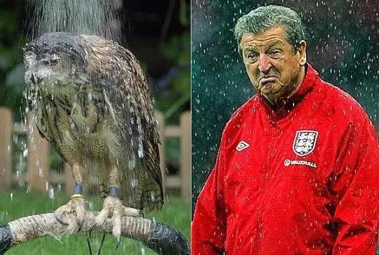 现在的前锋都弱爆了吗,现在的前锋还能玩吗