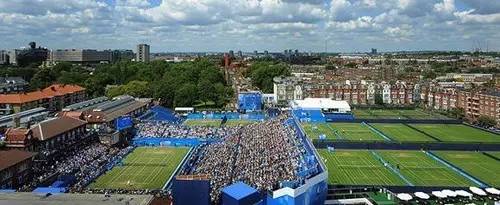 玩美狐度：狐说——绿（网球足球）