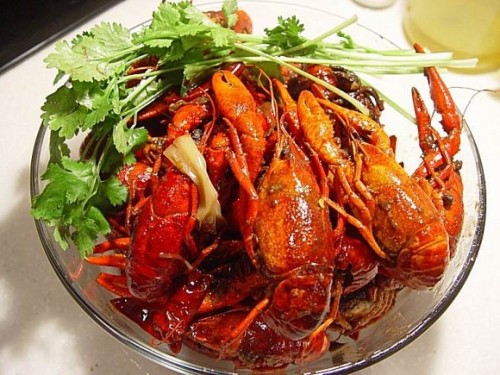 新西兰美食攻略自助,新西兰顶级美食图片