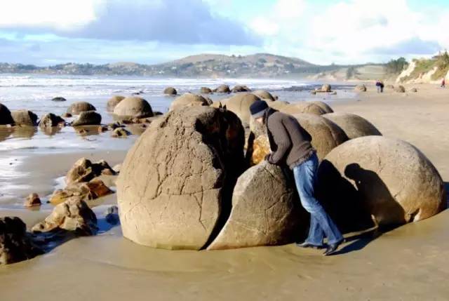 新西兰圆石图片,摩拉基大圆石龟背形成原因