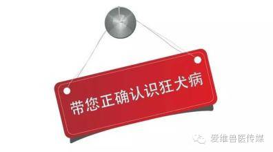 接触猫狗粪便会传染狂犬病吗,猫狗只有发病才会传染吗