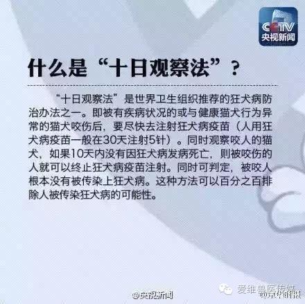 接触猫狗粪便会传染狂犬病吗,猫狗只有发病才会传染吗